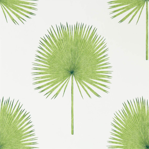 Sanderson Fan Palm Wallpaper - 216636 - Botanical Green