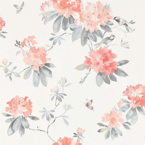 Sanderson Rhodera Wallpaper - 216264 - Coral / Grey