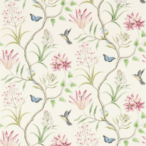 Sanderson Clementine Wallpaper - 213388 - Chintz