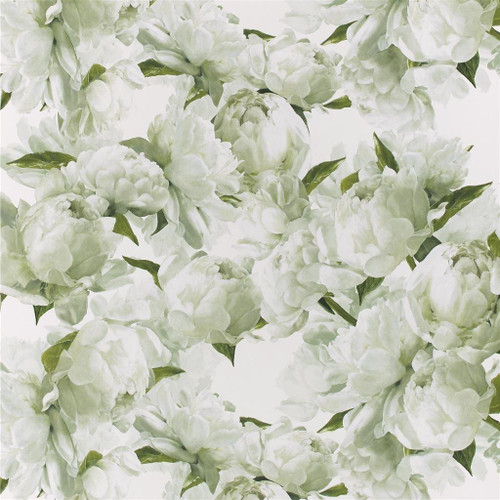 Designers Guild Peonia Wallpaper Chartreuse PDG1094/03