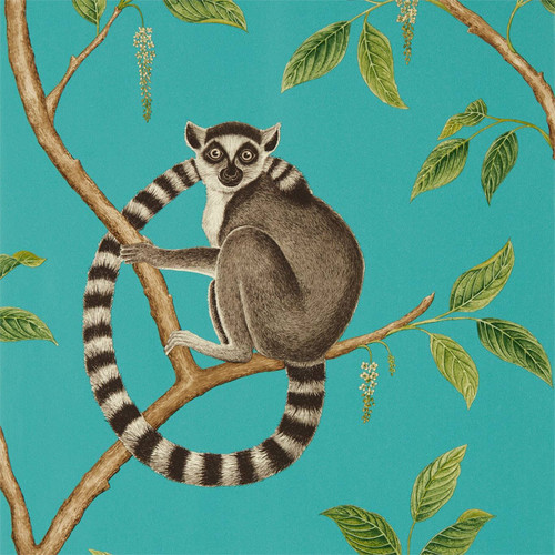 Sanderson Ringtailed Lemur Wallpaper - 216663 - Teal