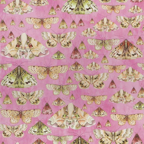 Designers Guild Issoria Wallpaper in Rose PDG713/03