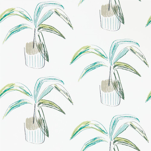 Scion Crassula Wallpaper - 111993 - Juniper / Lime