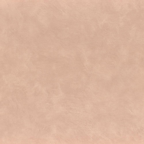 Casamance Argile Wallpaper Nude 75492446