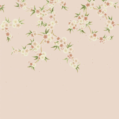 Harlequin Rosa Wallpaper - 112887 - Blush Pearl / Peony / Meadow