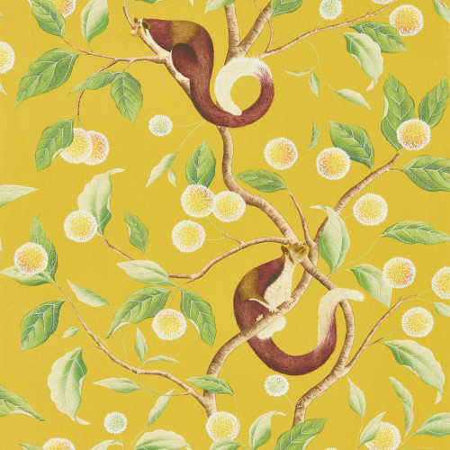 Harlequin Nellie Wallpaper - 112905 - Honey / Meadow