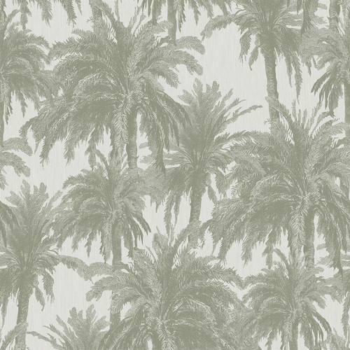 Ted Baker Treetops Wallpaper - ED13054 - White / Green
