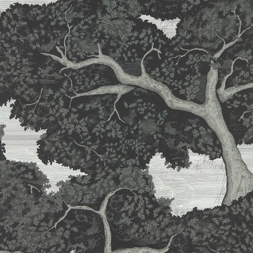 Harlequin Eternal Oak Wallpaper - 113040 - Ebony / First Light
