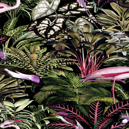 Graham & Brown Midnight Wallpaper - 112193 - Tropic