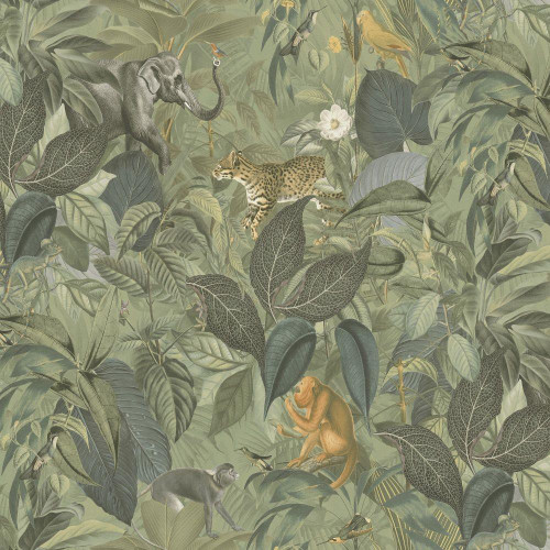 Galerie Amazon Motif Wallpaper - BW51024 - Green / Brown