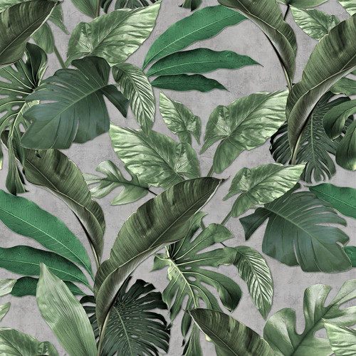 Galerie Tropical Wallpaper - 34197 - Green / Greige