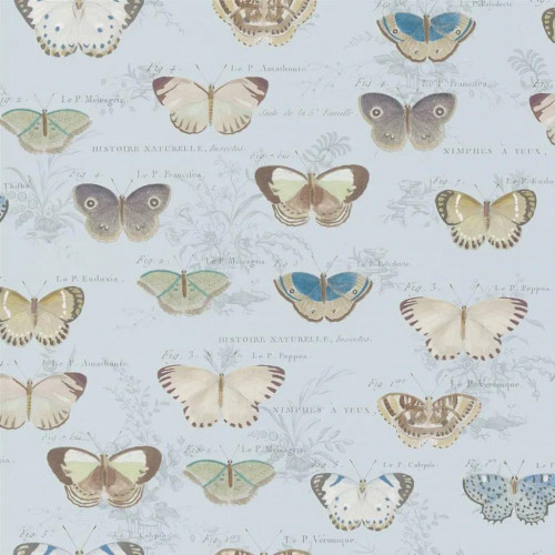 Designers Guild Butterfly Studies Wallpaper - PJD6017/02 - Cloud Blue