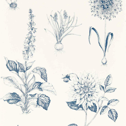 Clarke & Clarke Roseraie Wallpaper - W0197/03 - Midnight