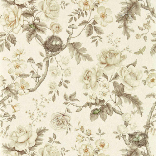 Sanderson Tansy Bloom Wallpaper - 217315 - Oyster