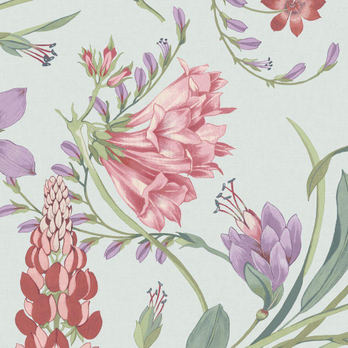 Graham & Brown Botanists Scroll Wallpaper - 131672 - Duck Egg