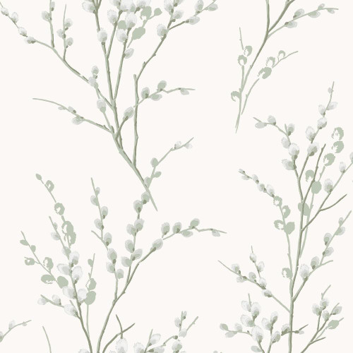 Laura Ashley Pussy Willow  Wallpaper - 130115 - Sage Green