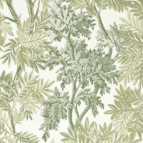 Sanderson Tapestry Trees Wallpaper - 217416 - Forest / Willow