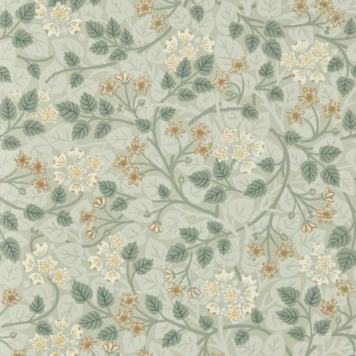 Sanderson Silver Lime Wallpaper - 217516 - Nymph