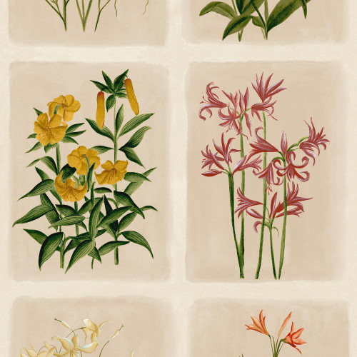 Laura Ashley - Pershore Postcards Wallpaper - 143334 - Linen