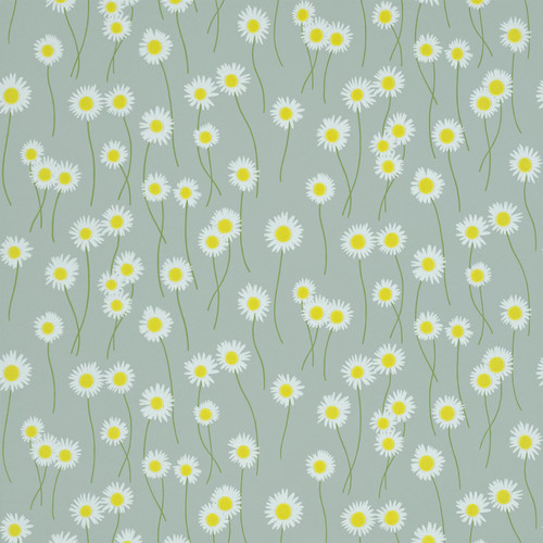Swatch image of Little Greene Moon Daisies wallpaper in Celestial Blue, showing scattered white daisies with yellow centres on a blue background