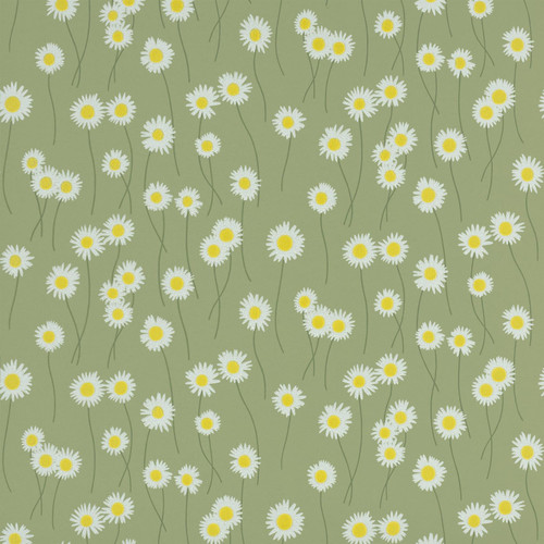 Swatch image of Little Greene Moon Daisies wallpaper in Garden, showing white daisies with yellow centres scattered over a warm green background