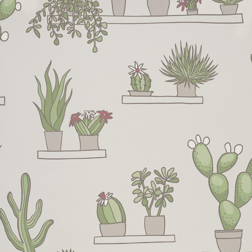 Little Greene Mr Straw’s Greenhouse wallpaper swatch in Slaked Lime, showing illustrated potted plants and cacti arranged on shelves against a soft neutral background.