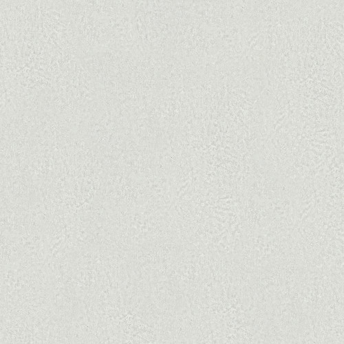 white and grey plaster effect wallpaper with fine textured surface and soft neutral tones