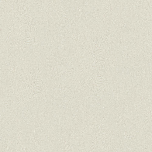 beige plaster effect wallpaper with fine textured surface and soft warm neutral tone