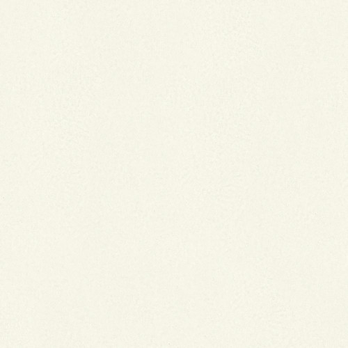 white plaster effect wallpaper with fine textured surface and subtle tonal variation