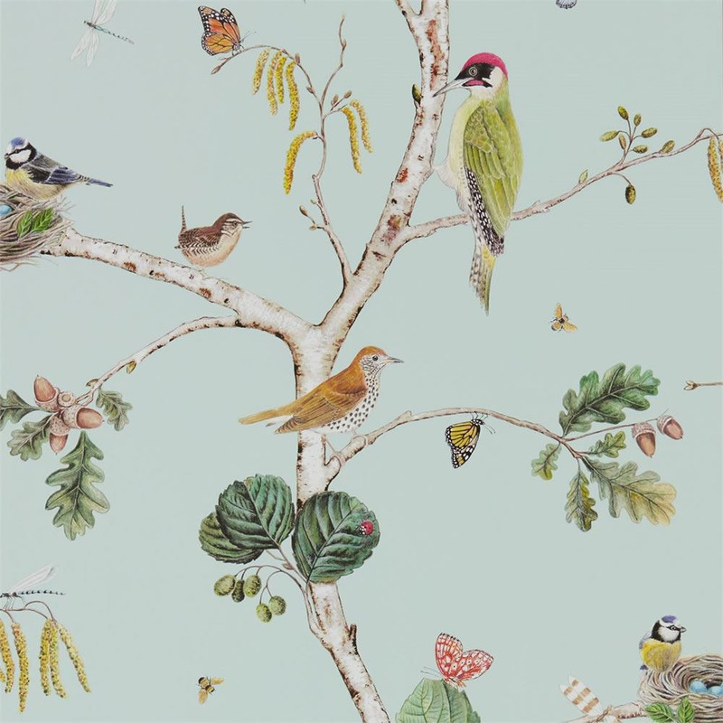 Sanderson Woodland Chorus Wallpaper - 215706 - Sky Blue