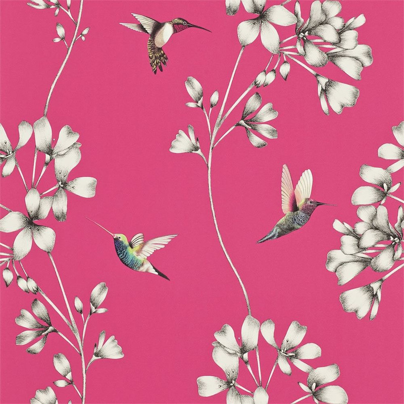 Harlequin Amazilia Wallpaper 111058 Flamingo