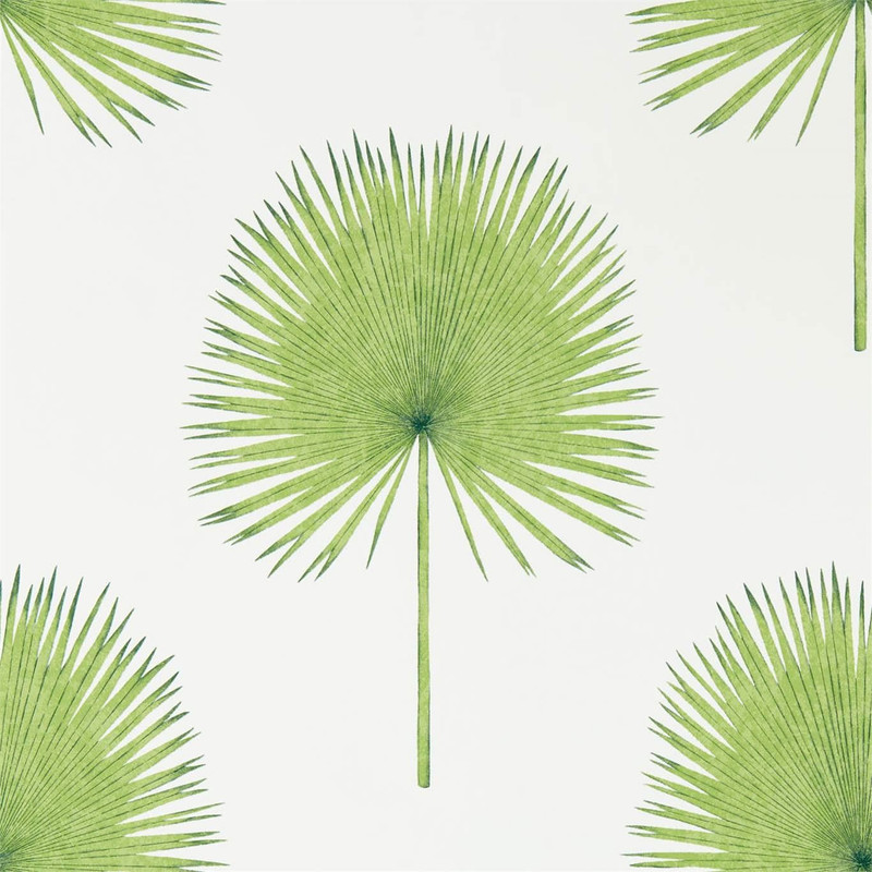 Sanderson Fan Palm Wallpaper - 216636 - Botanical Green