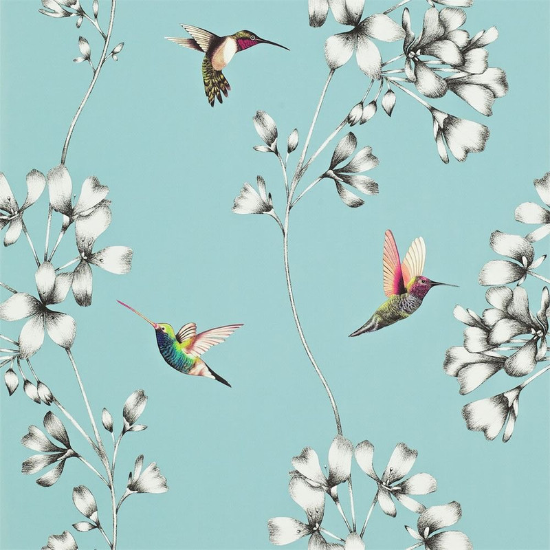 Harlequin Amazilia Wallpaper 111060 Sky