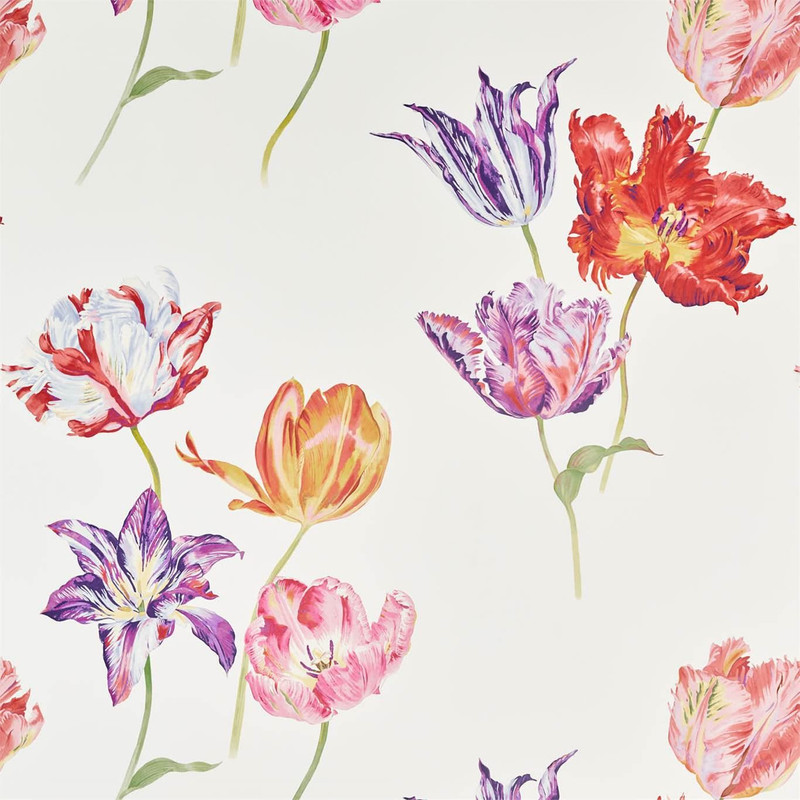 Sanderson Tulipomania Wallpaper - 216666 - Botanical