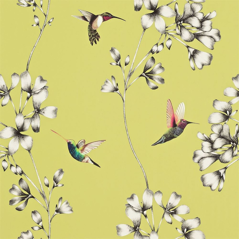 Harlequin Amazilia Wallpaper 111061 Gooseberry