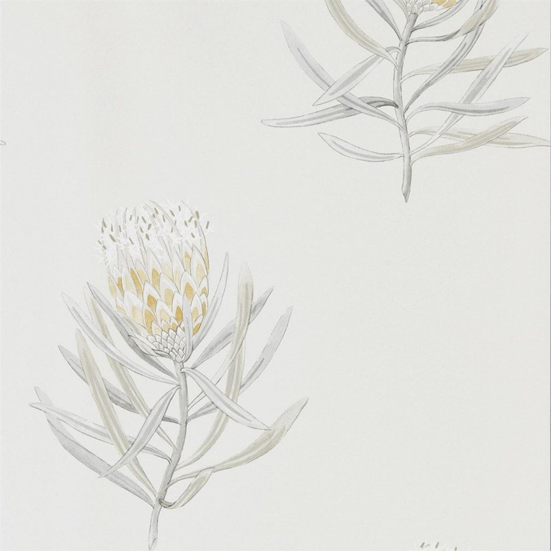 Sanderson Protea Flower Wallpaper - 216328 - Daffodil / Natural