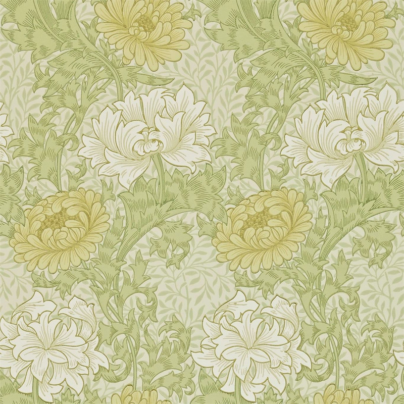 Morris & Co Chrysanthemum Wallpaper 212545 Pale Olive showing large floral chrysanthemum pattern with flowing foliage in soft green tones