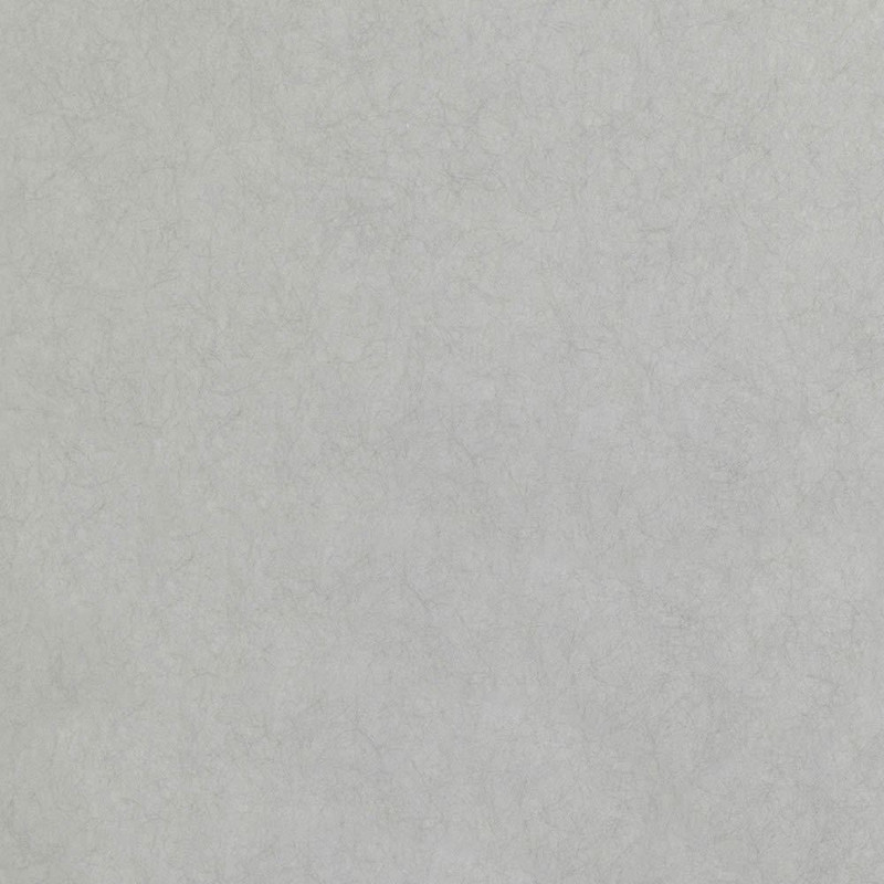 Romo Asper Wallpaper - W399/06 - Silver