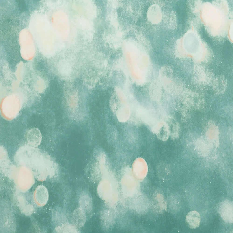 Villa Nova Bokeh Wallpaper W613/01 Tropics