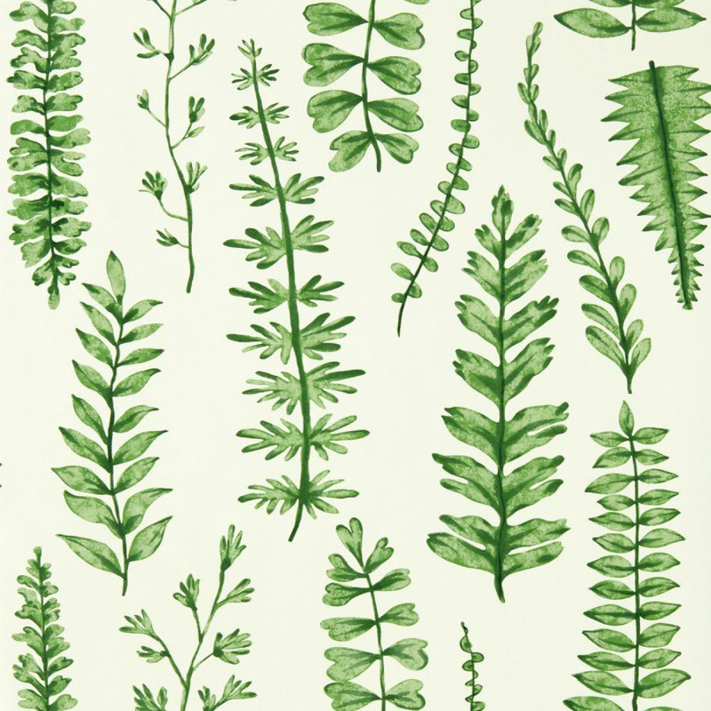 Scion Ferns Wallpaper - 112798 - Juniper