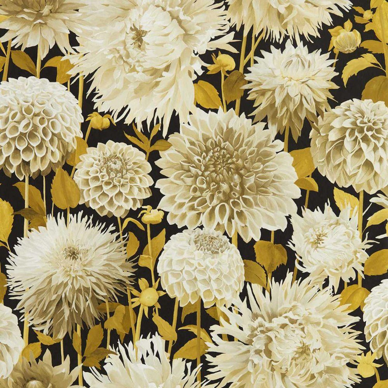 Harlequin Dahlia Wallpaper - 112846 - Fig Blossom / Nectar / Black Earth