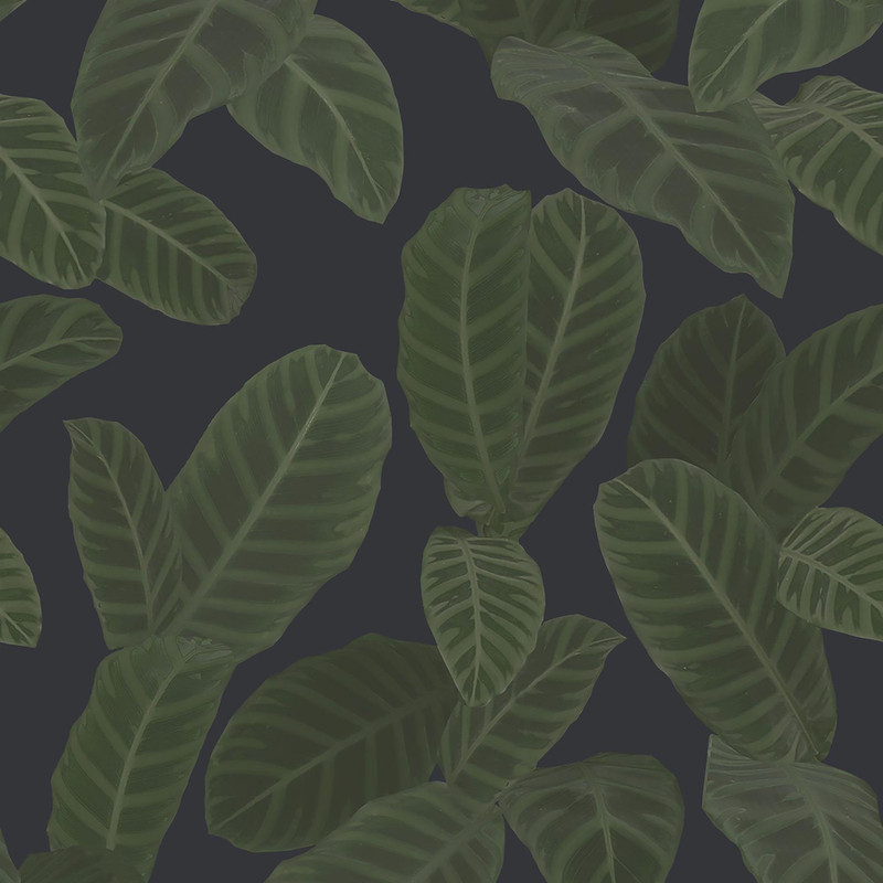 Ted Baker Piner Wallpaper - ED13126 - Navy Blue / Green