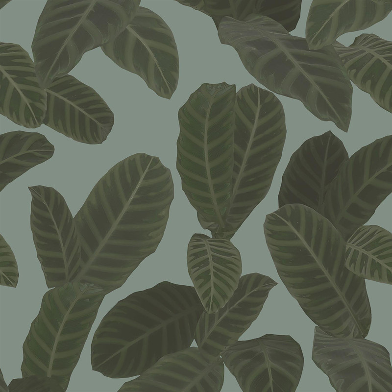 Ted Baker Piner Wallpaper - ED13129 - Blue / Green
