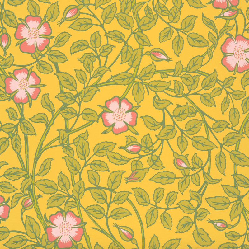 Little Greene Briar Rose Wallpaper - 0263BRINDIA - Indian Yellow