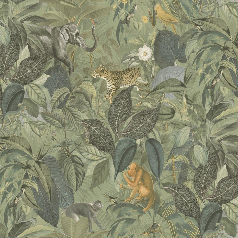 Galerie Amazon Motif Wallpaper - BW51024 - Green / Brown