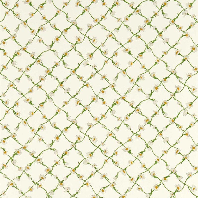 Harlequin Daisy Trellis Wallpaper - 113043 - Emerald / Pearl