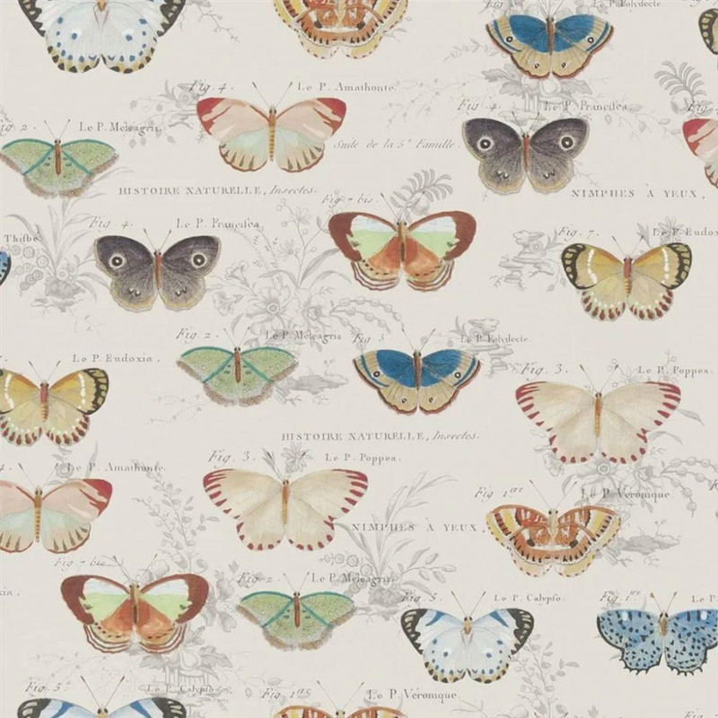 Designers Guild Butterfly Studies Wallpaper - PJD6017/01 - Parchment