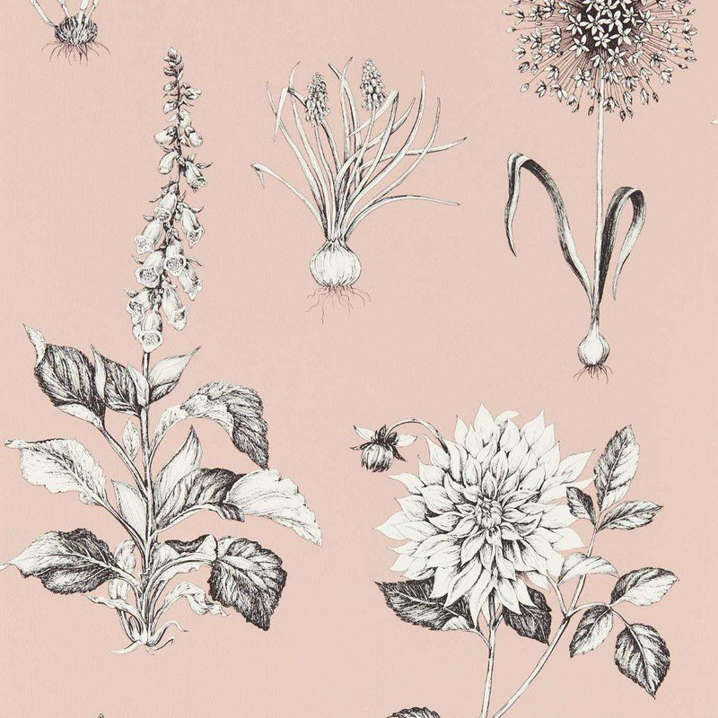 Clarke & Clarke Roseraie Wallpaper - W0197/01 - Blush