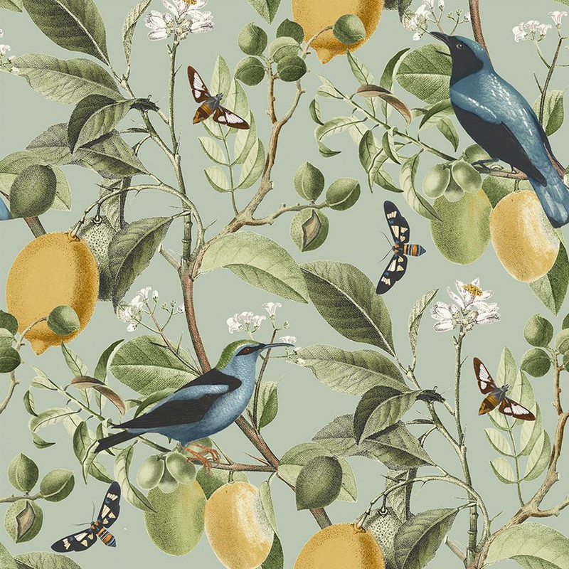 NEXT Fruit Tree Wallpaper - 128834 - Summer Sage