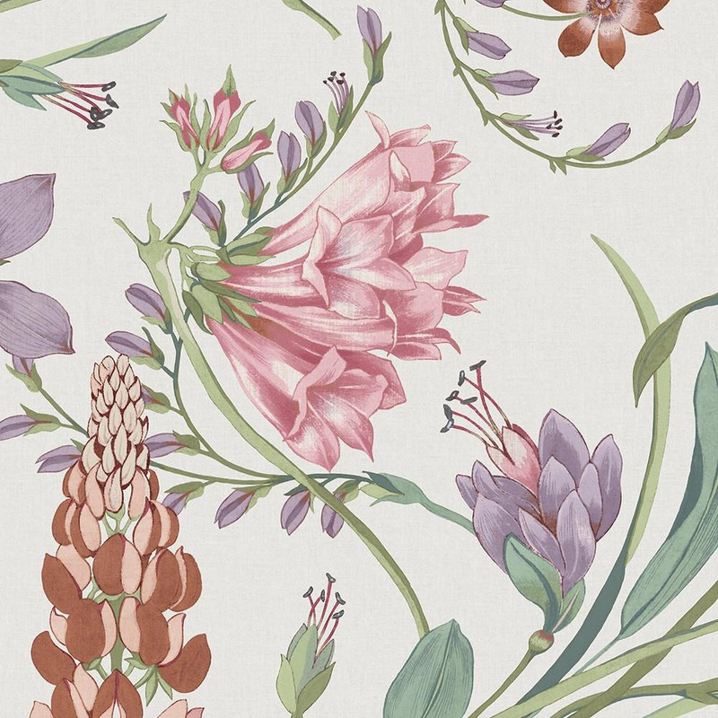 Graham & Brown Botanists Scroll Wallpaper - 130297 - Mauve